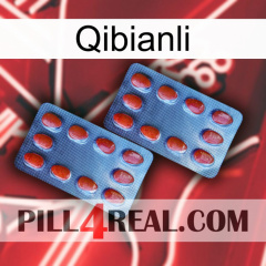 Qibianli 05